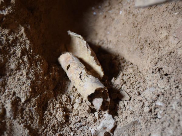 Археологи нашли разграбленное хранилище кумранских свитков